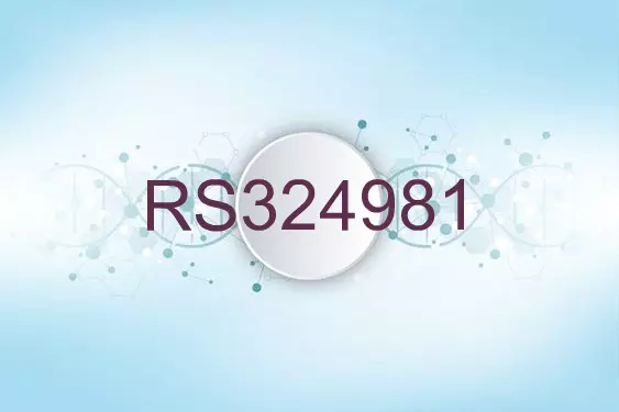 RS324981