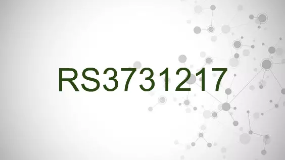 RS3731217