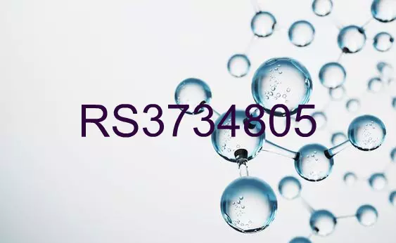 RS3734805