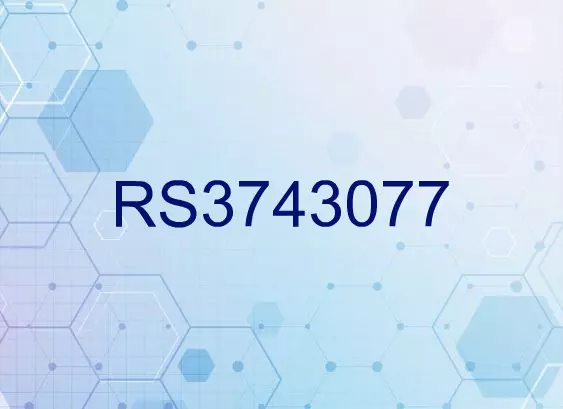 RS3743077