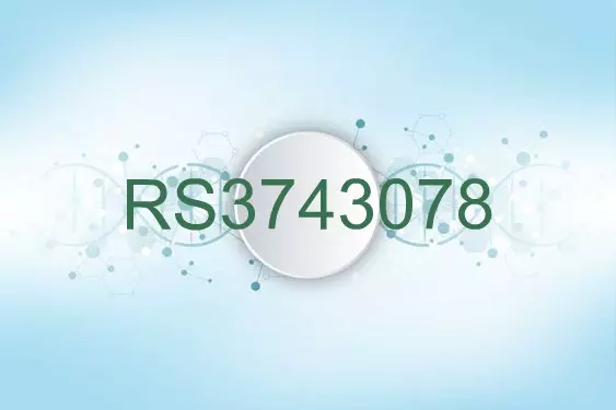 RS3743078