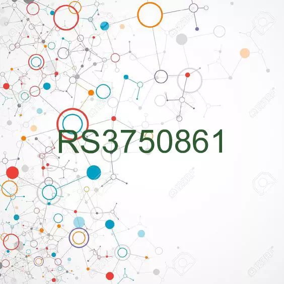 RS3750861