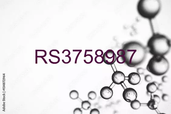 RS3758987