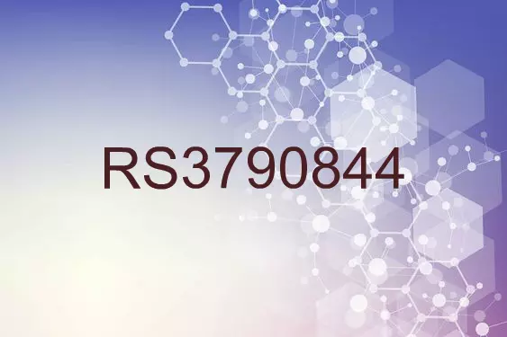 RS3790844