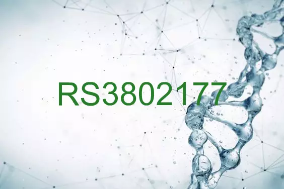 RS3802177