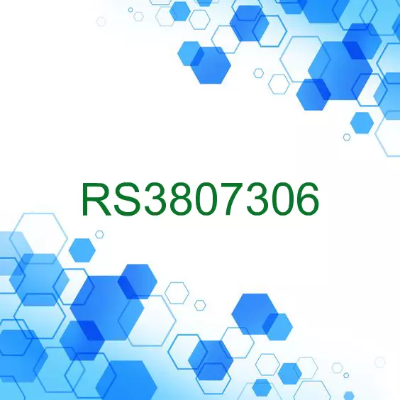 RS3807306