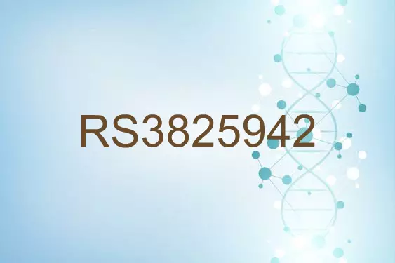 RS3825942