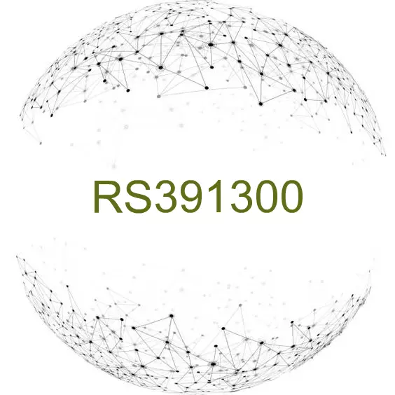 RS391300