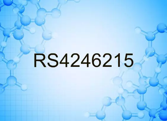 RS4246215