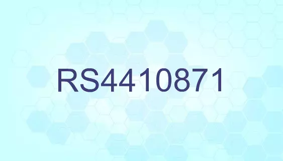 RS4410871