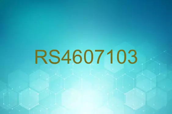 RS4607103