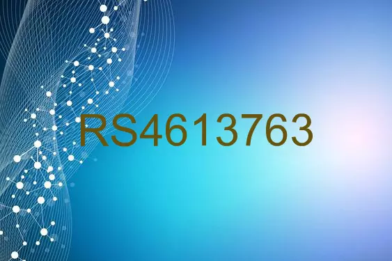 RS4613763