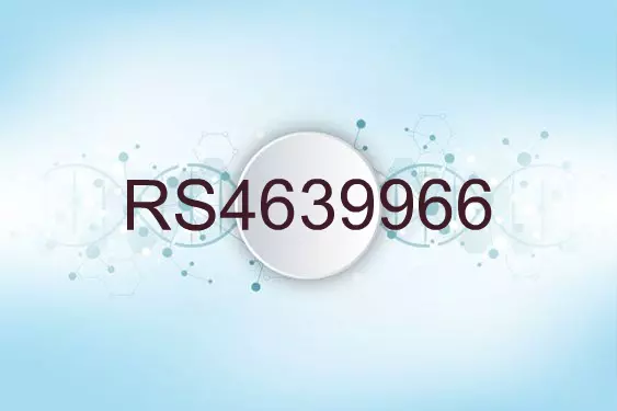 RS4639966