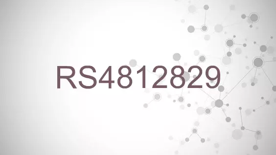 RS4812829