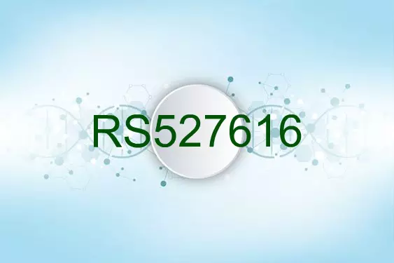 RS527616