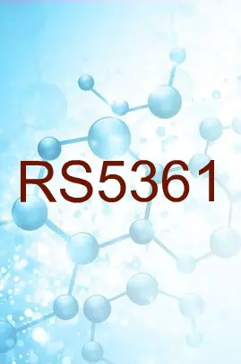 RS5361