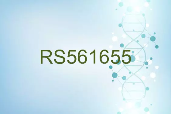 RS561655