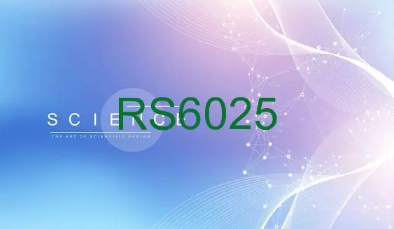 RS6025