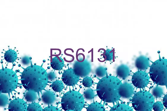 RS6131