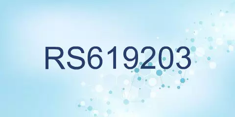 RS619203