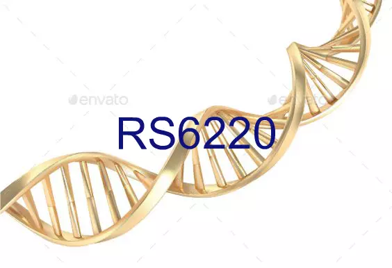 RS6220