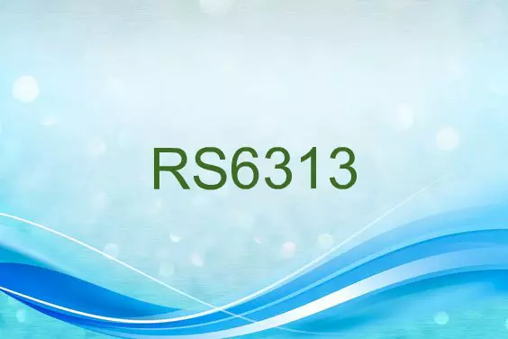 RS6313