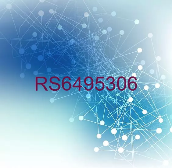 RS6495306