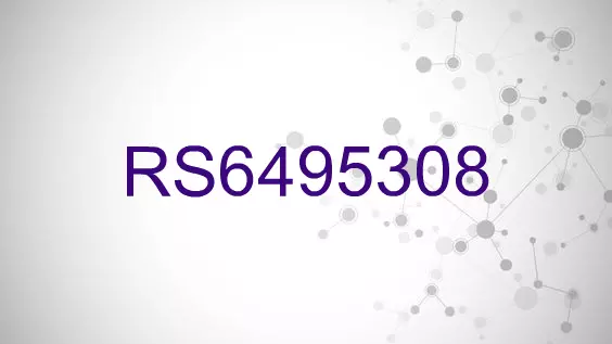 RS6495308