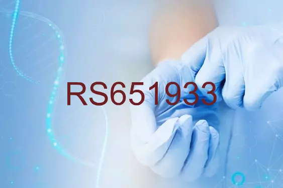 RS651933