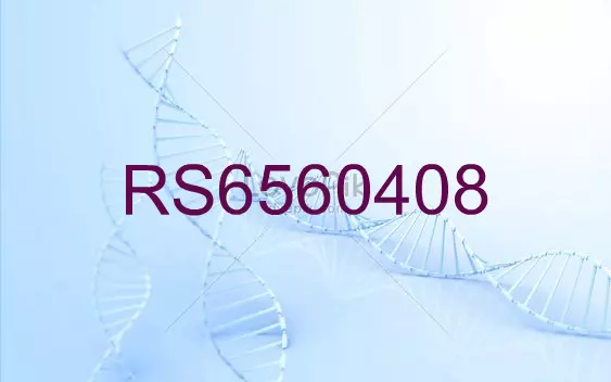 RS6560408