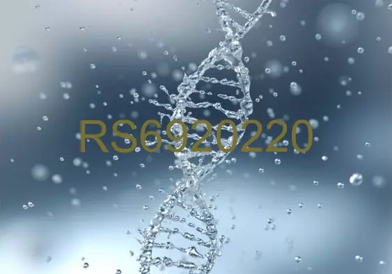 RS6920220