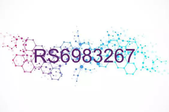 RS6983267