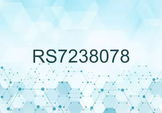 RS7238078