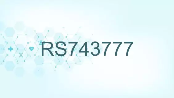 RS743777