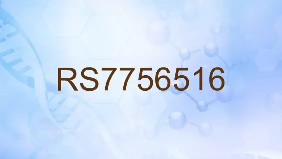 RS7756516