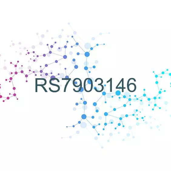 RS7903146