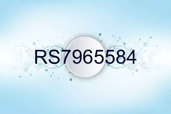 RS7965584