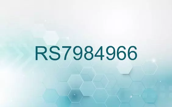 RS7984966