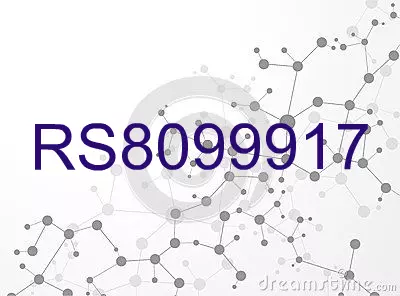 RS8099917