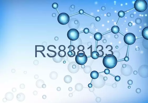 RS838133