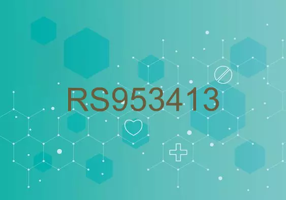 RS953413