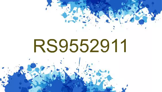 RS9552911