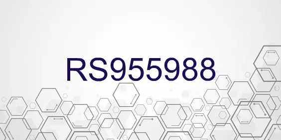 RS955988