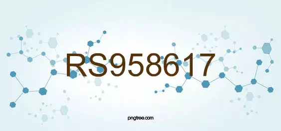 RS958617