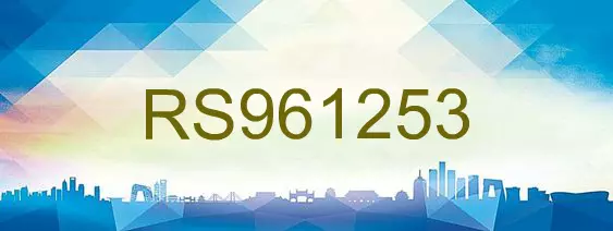 RS961253