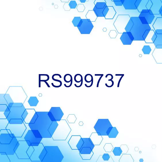 RS999737